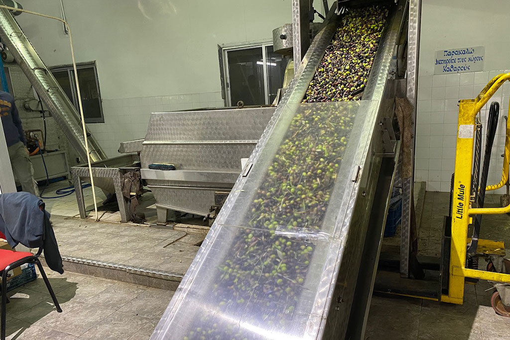 visiting-an-olive-mill_09