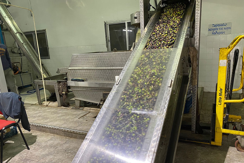 Visiting-an-olive-mill 09 visiting-an-olive-mill_09