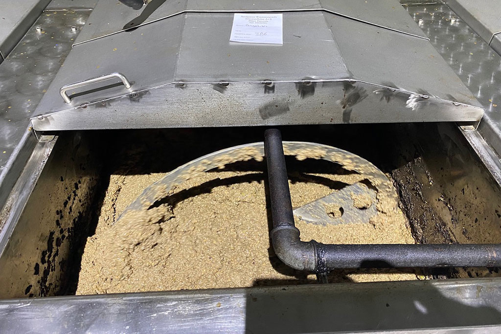 visiting-an-olive-mill_13