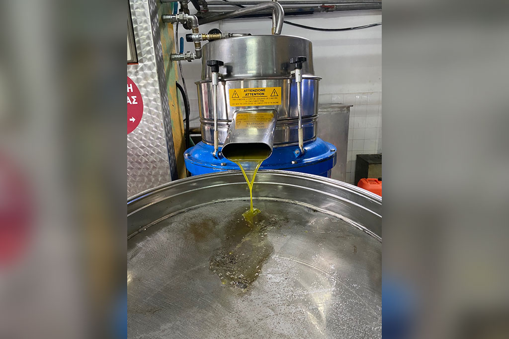 visiting-an-olive-mill_15