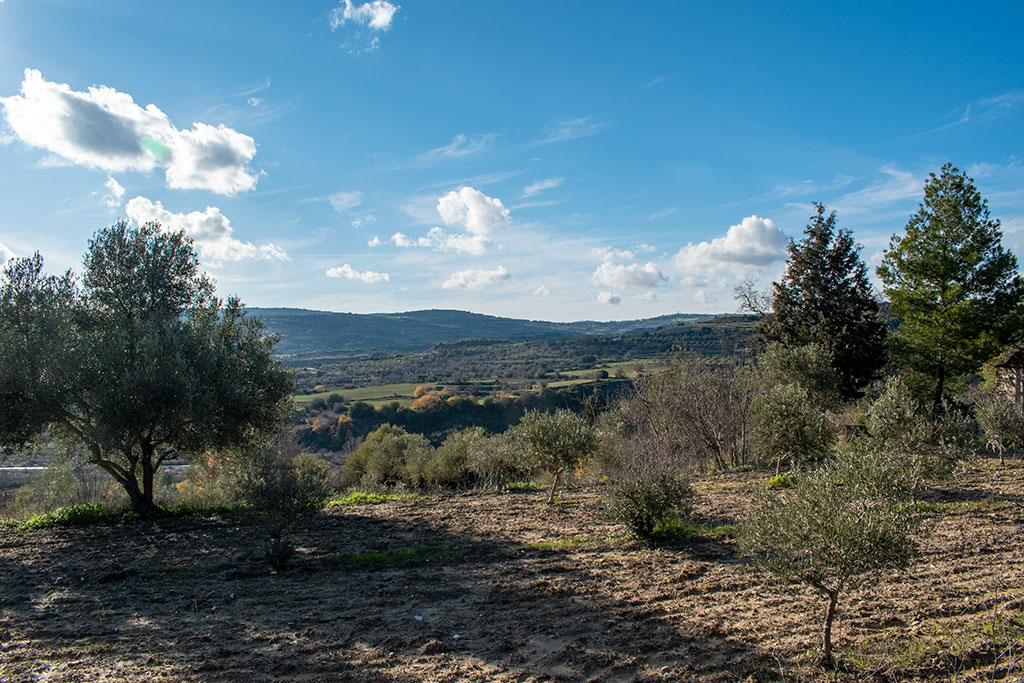 agios-georgios-choulou_02