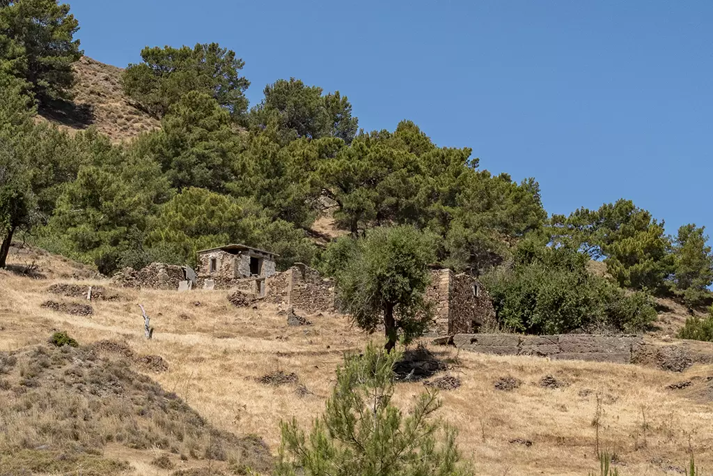 agios-theodoros_18