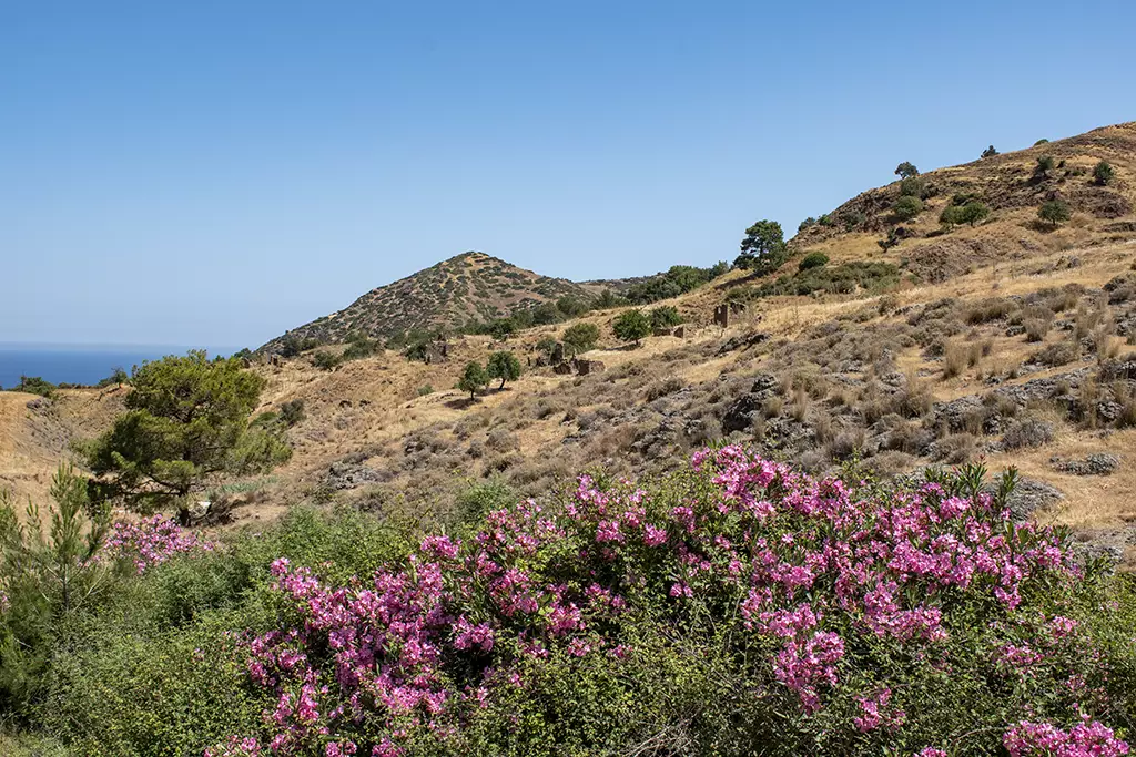 agios-theodoros_19