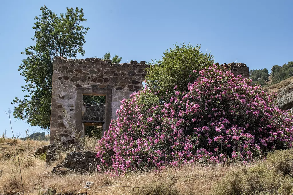 agios-theodoros_24
