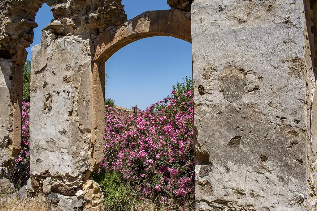 agios-theodoros_27