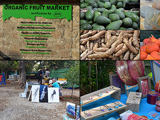 Biolouc Organic Store And Market