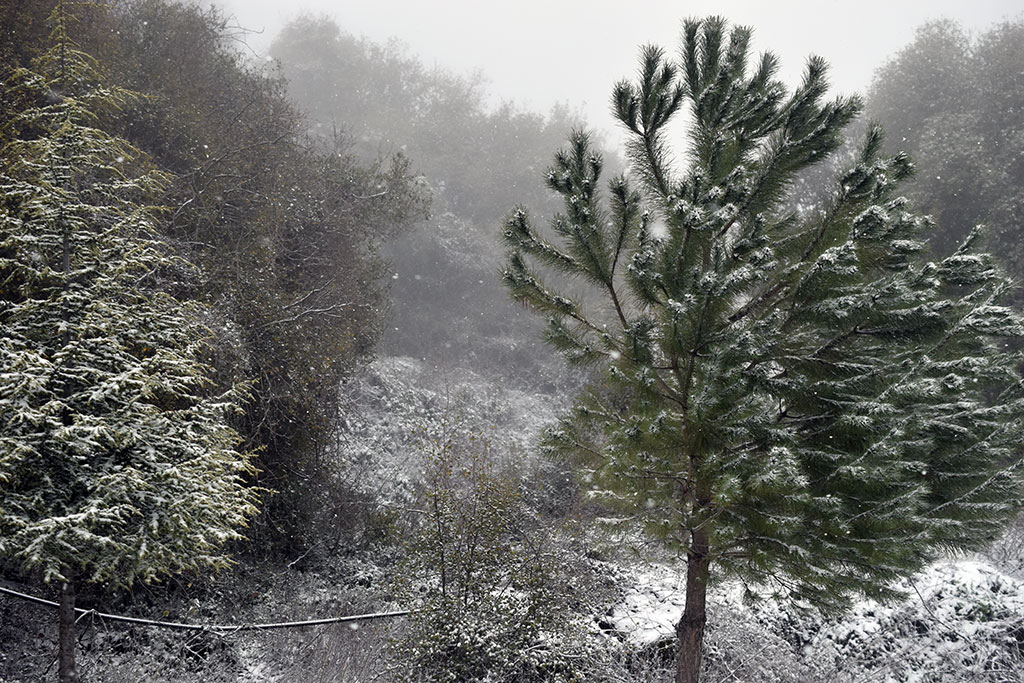 Cyprus-snow 21 cyprus-snow_21