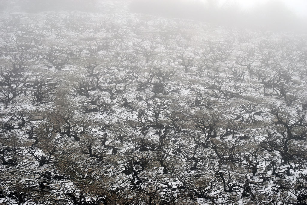 Cyprus-snow 27 cyprus-snow_27