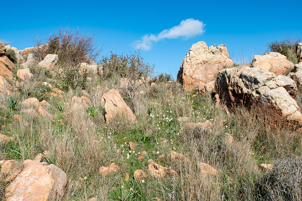 Droushia-rocks-in-spring 02 droushia-rocks-in-spring_02
