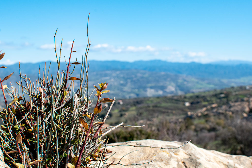 droushia-rocks-in-spring_07