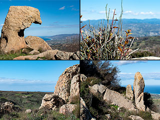 Droushia Rocks In Spring