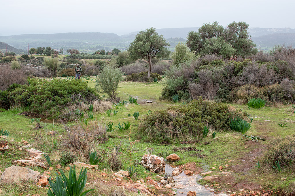 Exploring-paphos-in-the-rain-part-1 01 exploring-paphos-in-the-rain-part-1_01