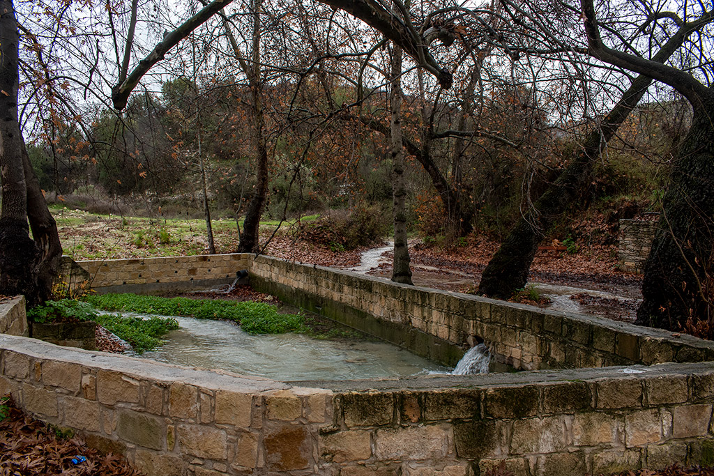 exploring-paphos-in-the-rain-part-1_12