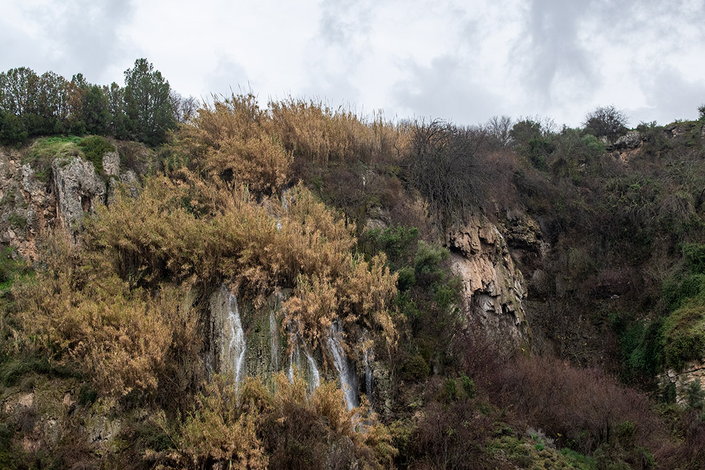 exploring-paphos-in-the-rain-part-1_14