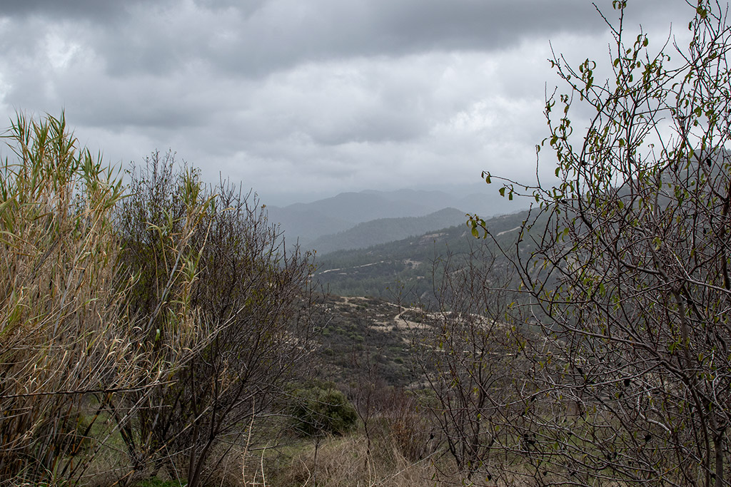 Exploring-paphos-in-the-rain-part-1 32 exploring-paphos-in-the-rain-part-1_32