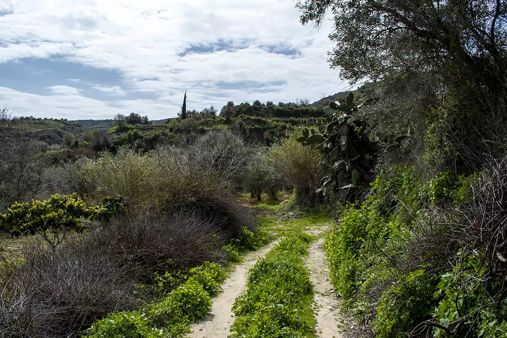 Fruity-fields-of-theletra 12 fruity-fields-of-theletra_12