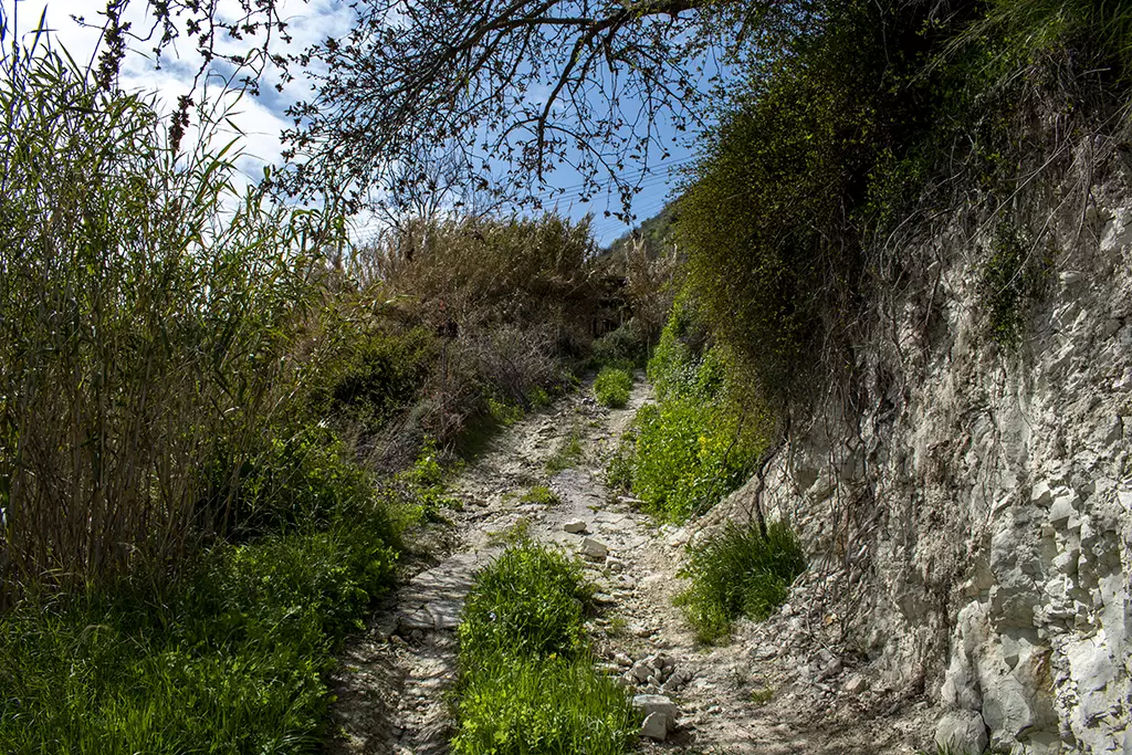 Fruity-fields-of-theletra 21 fruity-fields-of-theletra_21