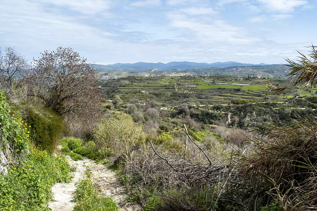 Fruity-fields-of-theletra 26 fruity-fields-of-theletra_26