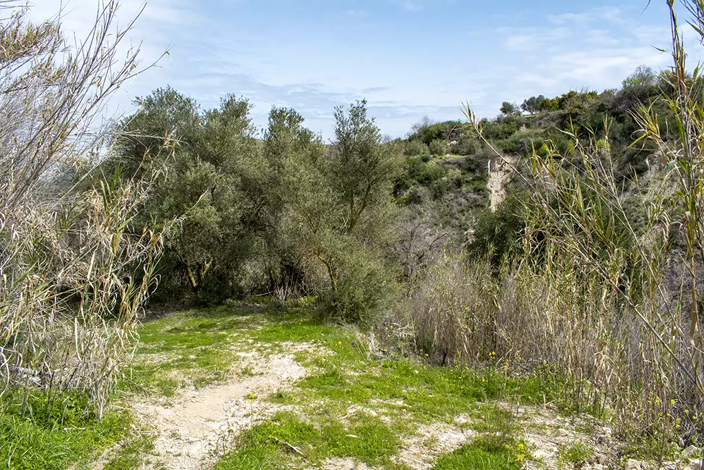 Fruity-fields-of-theletra 33 fruity-fields-of-theletra_33