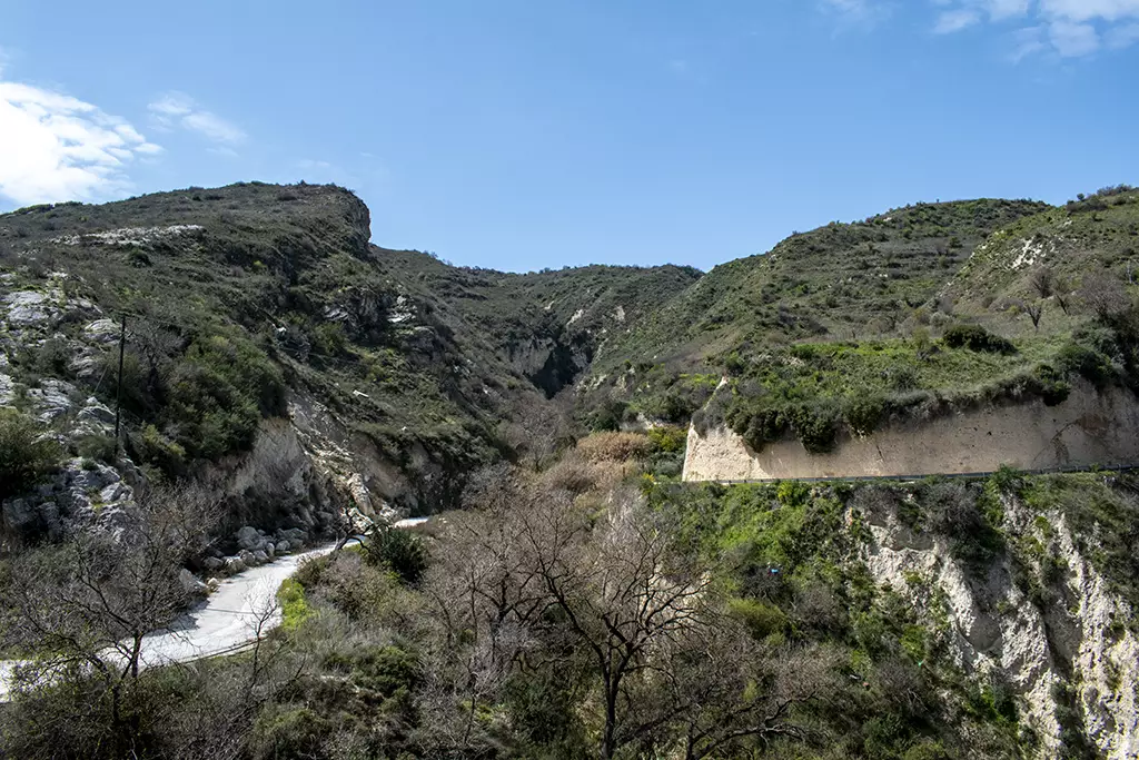 fruity-fields-of-theletra_38