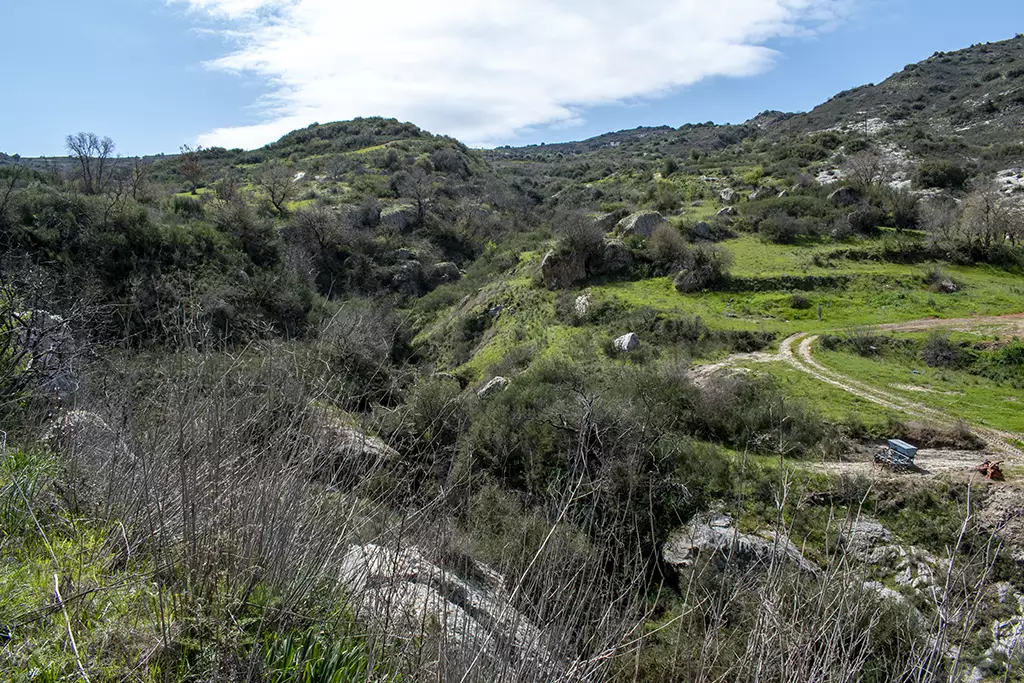 fruity-fields-of-theletra_42