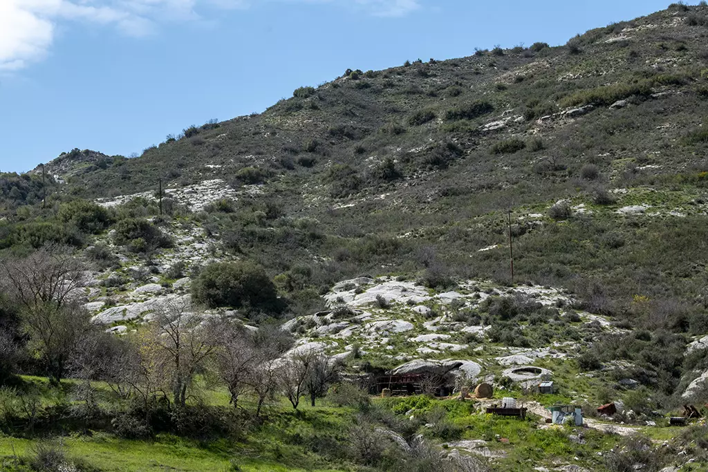 fruity-fields-of-theletra_45