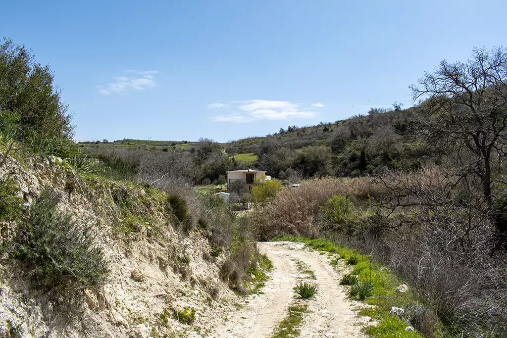 fruity-fields-of-theletra_48