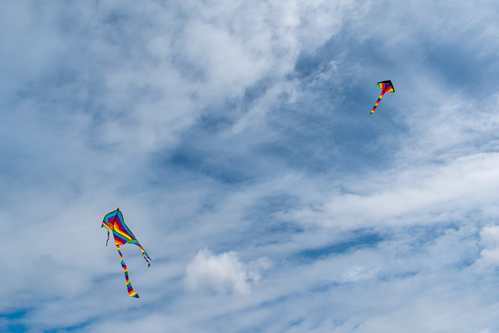 green-monday-kite-flying_03