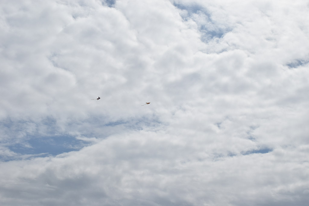 green-monday-kite-flying_16