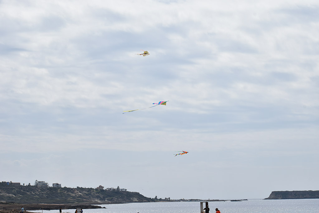 green-monday-kite-flying_20