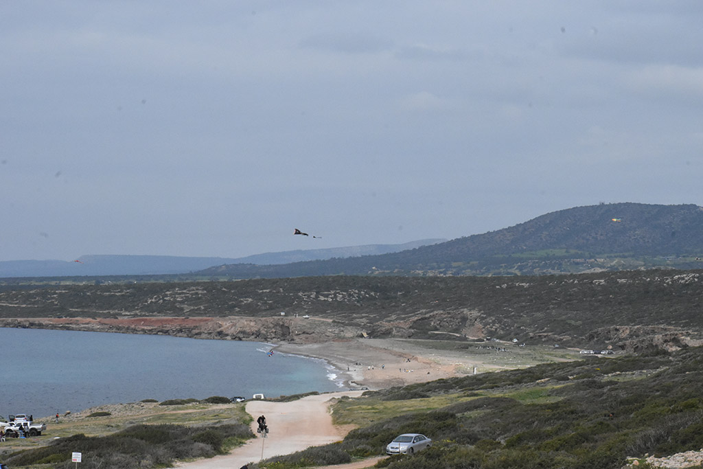 Green-monday-kite-flying 23 green-monday-kite-flying_23