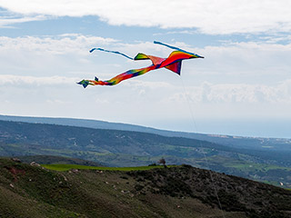 Green Monday Kite Flying