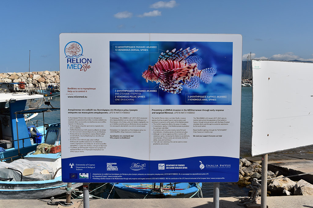 latsi-beach-and-harbour_12