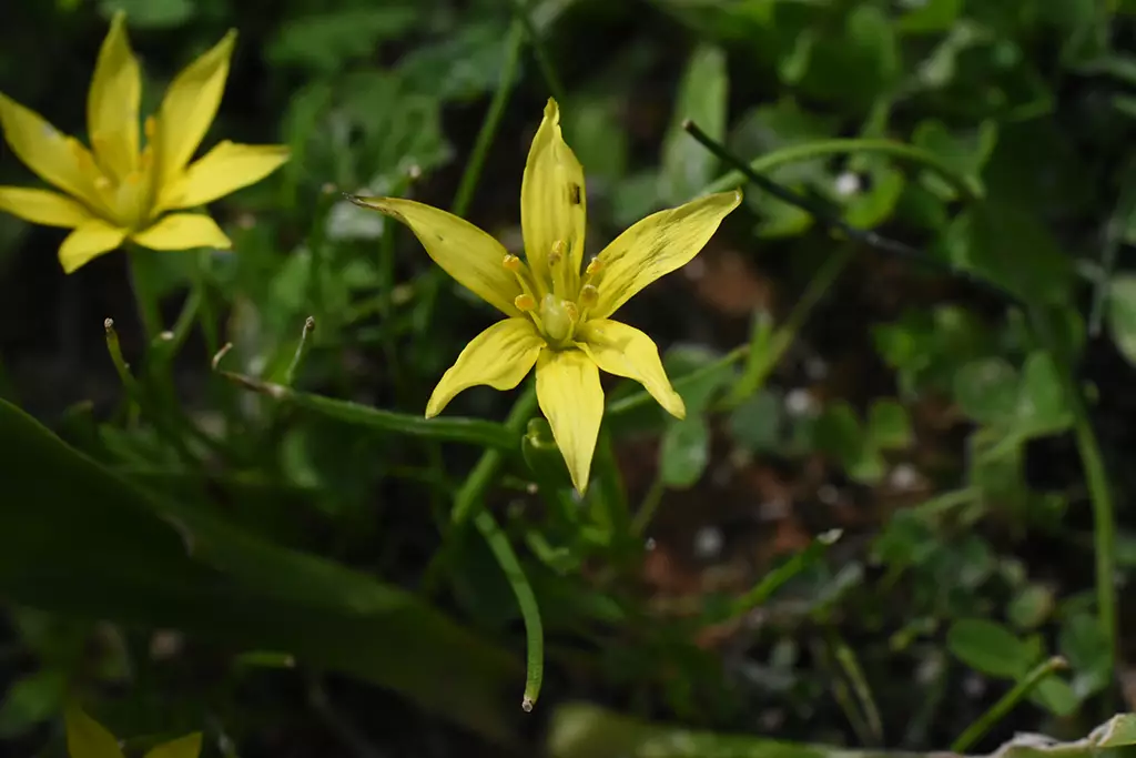 Moundiko-nature-trail-part-1 14 moundiko-nature-trail-part-1_14
