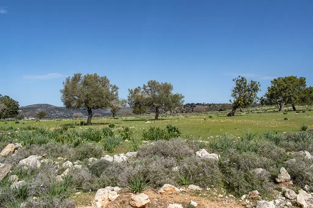 Moundiko-nature-trail-part-1 43 moundiko-nature-trail-part-1_43