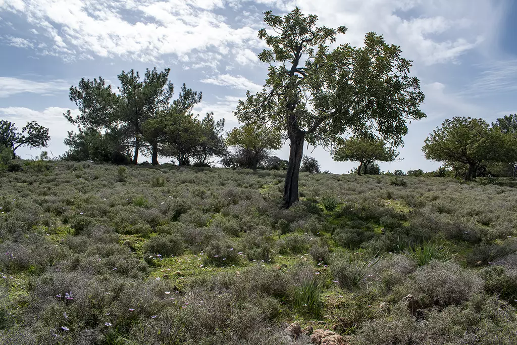 Moundiko-nature-trail-part-1 45 moundiko-nature-trail-part-1_45