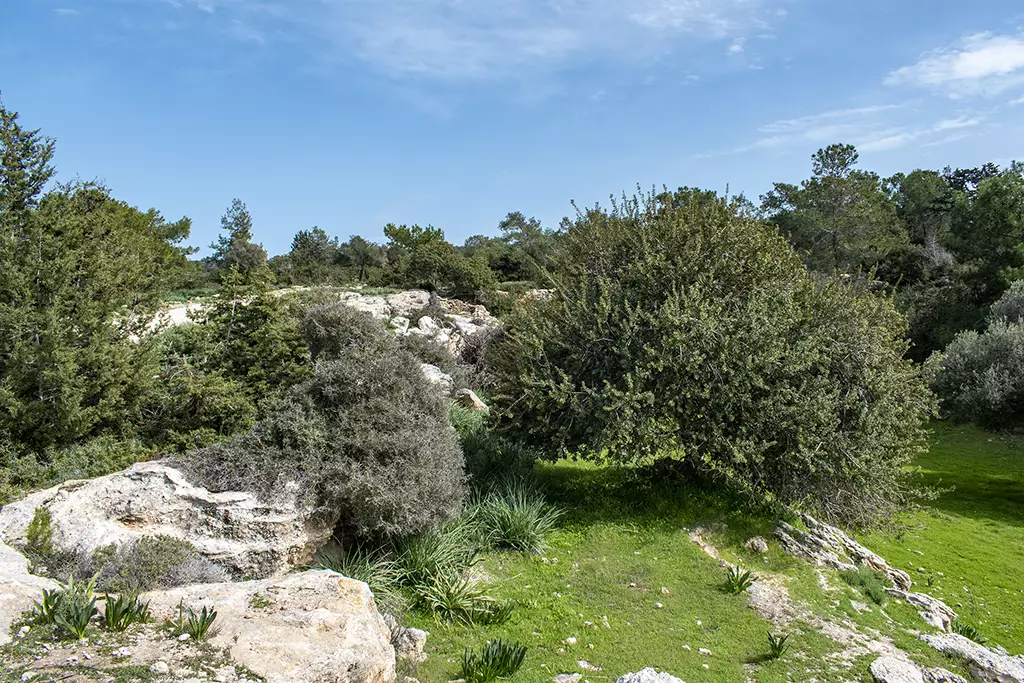 Moundiko-nature-trail-part-2 19 moundiko-nature-trail-part-2_19