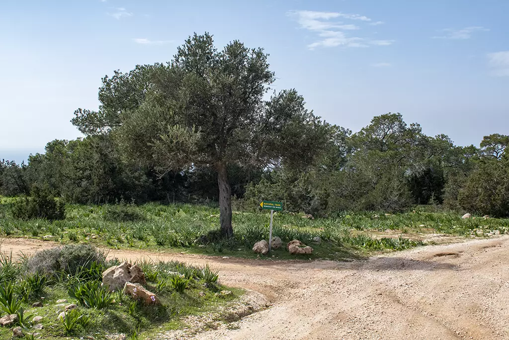 Moundiko-nature-trail-part-2 20 moundiko-nature-trail-part-2_20