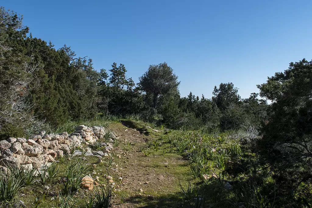 Moundiko-nature-trail-part-2 24 moundiko-nature-trail-part-2_24