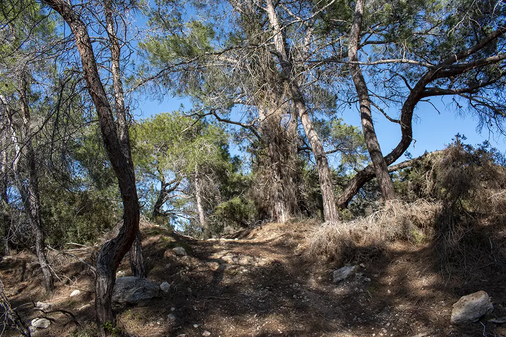 Moundiko-nature-trail-part-2 25 moundiko-nature-trail-part-2_25