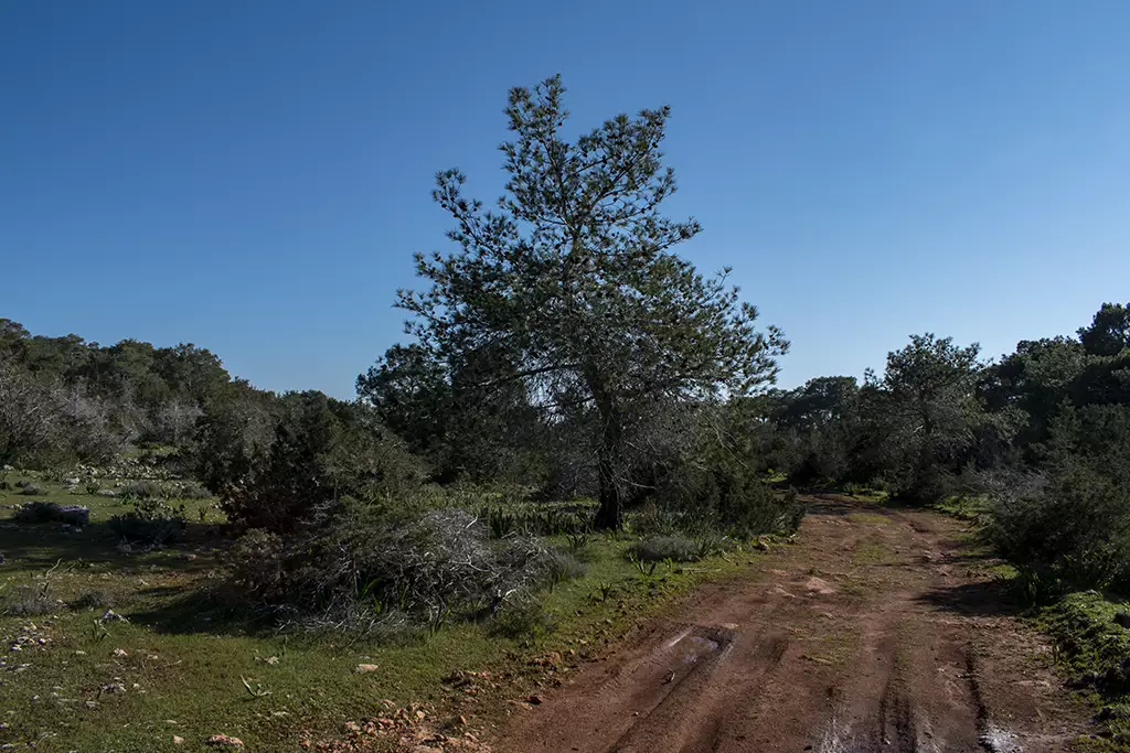 Moundiko-nature-trail-part-2 26 moundiko-nature-trail-part-2_26