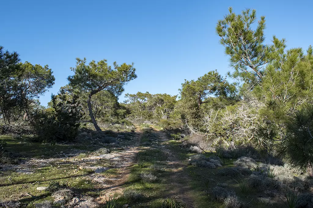 Moundiko-nature-trail-part-2 35 moundiko-nature-trail-part-2_35