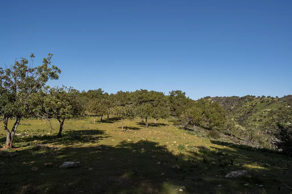 Moundiko-nature-trail-part-2 39 moundiko-nature-trail-part-2_39