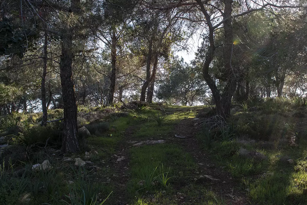 Moundiko-nature-trail-part-2 40 moundiko-nature-trail-part-2_40