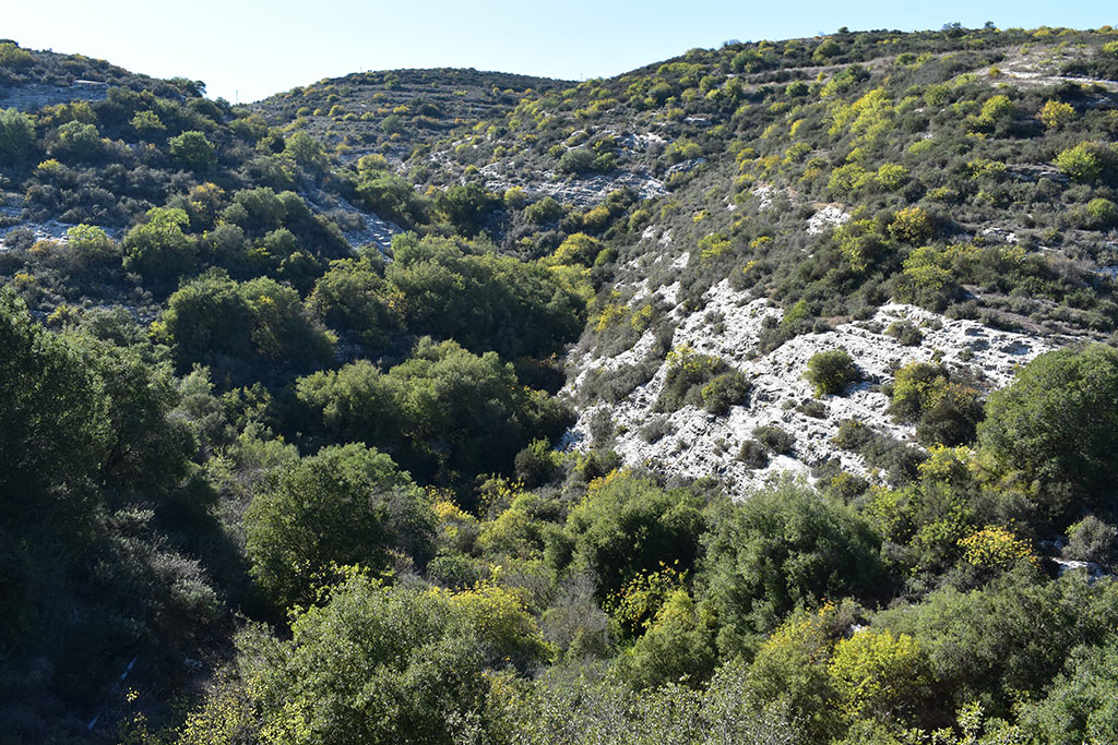 Pano-akourdaleia-nature-trail 21 pano-akourdaleia-nature-trail_21