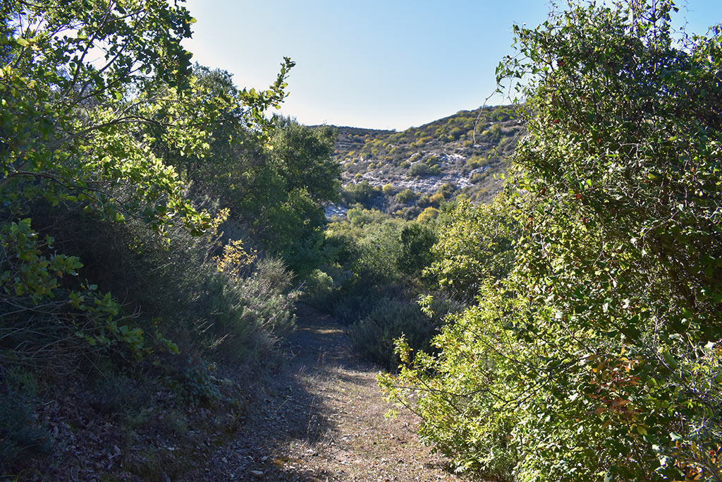 Pano-akourdaleia-nature-trail 22 pano-akourdaleia-nature-trail_22