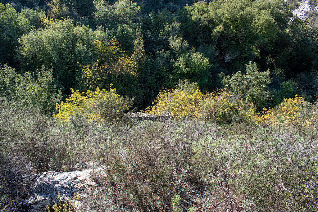 Pano-akourdaleia-nature-trail 26 pano-akourdaleia-nature-trail_26