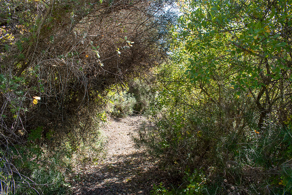 Pano-akourdaleia-nature-trail 30 pano-akourdaleia-nature-trail_30