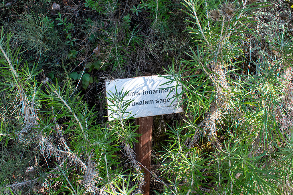 Pano-akourdaleia-nature-trail 31 pano-akourdaleia-nature-trail_31