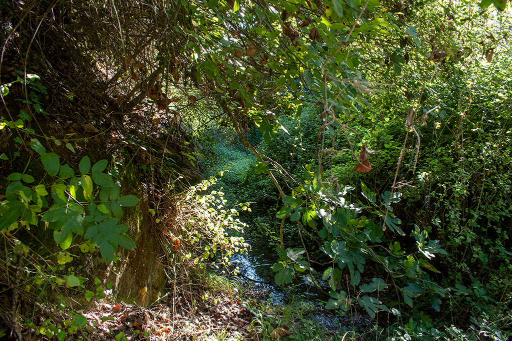 Pano-akourdaleia-nature-trail 32 pano-akourdaleia-nature-trail_32